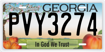 GA license plate PVY3274