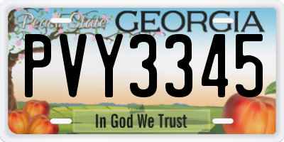GA license plate PVY3345