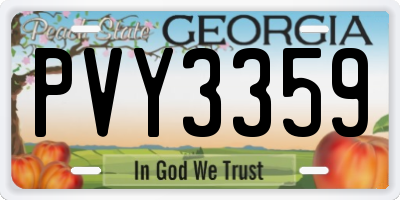 GA license plate PVY3359