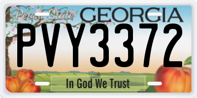 GA license plate PVY3372