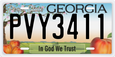 GA license plate PVY3411