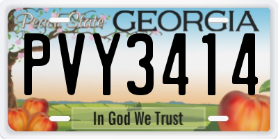 GA license plate PVY3414