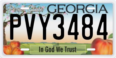 GA license plate PVY3484