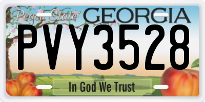GA license plate PVY3528