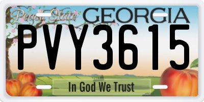 GA license plate PVY3615