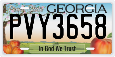 GA license plate PVY3658
