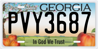GA license plate PVY3687