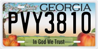 GA license plate PVY3810
