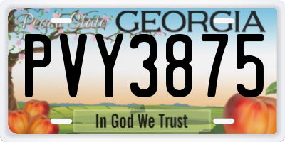 GA license plate PVY3875