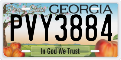 GA license plate PVY3884