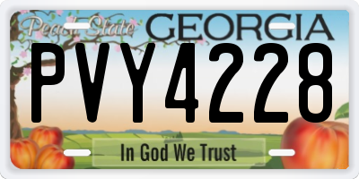 GA license plate PVY4228