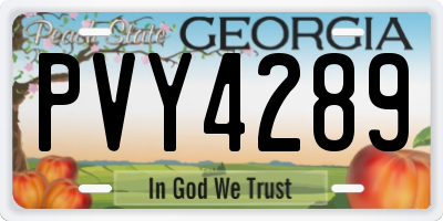 GA license plate PVY4289