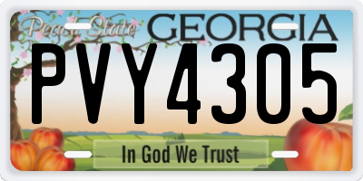 GA license plate PVY4305