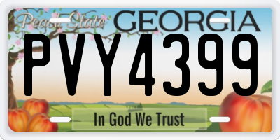 GA license plate PVY4399