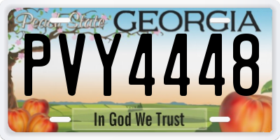 GA license plate PVY4448
