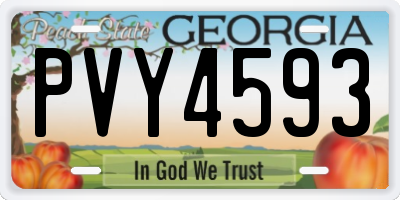 GA license plate PVY4593