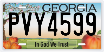 GA license plate PVY4599