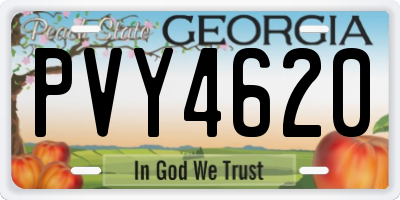 GA license plate PVY4620