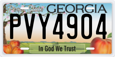 GA license plate PVY4904