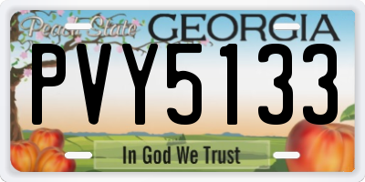 GA license plate PVY5133