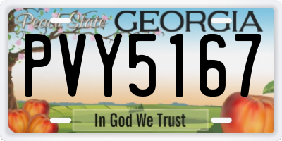 GA license plate PVY5167