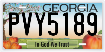 GA license plate PVY5189