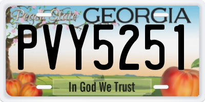 GA license plate PVY5251