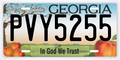 GA license plate PVY5255