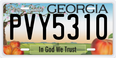 GA license plate PVY5310