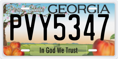 GA license plate PVY5347