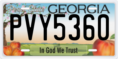 GA license plate PVY5360