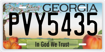 GA license plate PVY5435