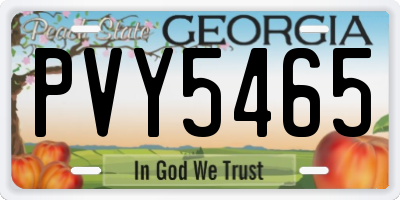 GA license plate PVY5465