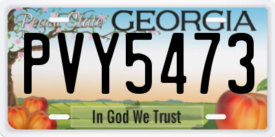 GA license plate PVY5473