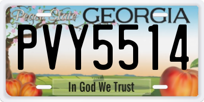GA license plate PVY5514