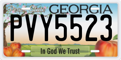 GA license plate PVY5523