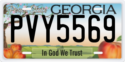 GA license plate PVY5569