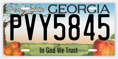 GA license plate PVY5845