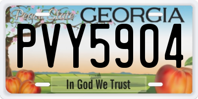 GA license plate PVY5904