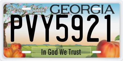 GA license plate PVY5921