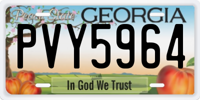 GA license plate PVY5964