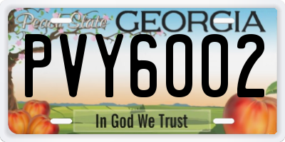 GA license plate PVY6002