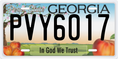 GA license plate PVY6017
