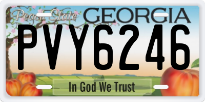 GA license plate PVY6246