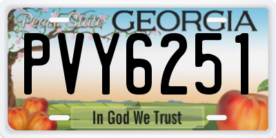 GA license plate PVY6251