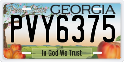 GA license plate PVY6375