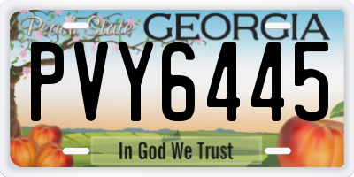 GA license plate PVY6445