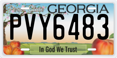 GA license plate PVY6483