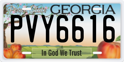 GA license plate PVY6616