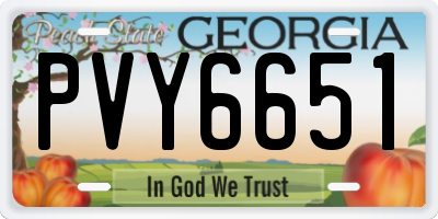 GA license plate PVY6651